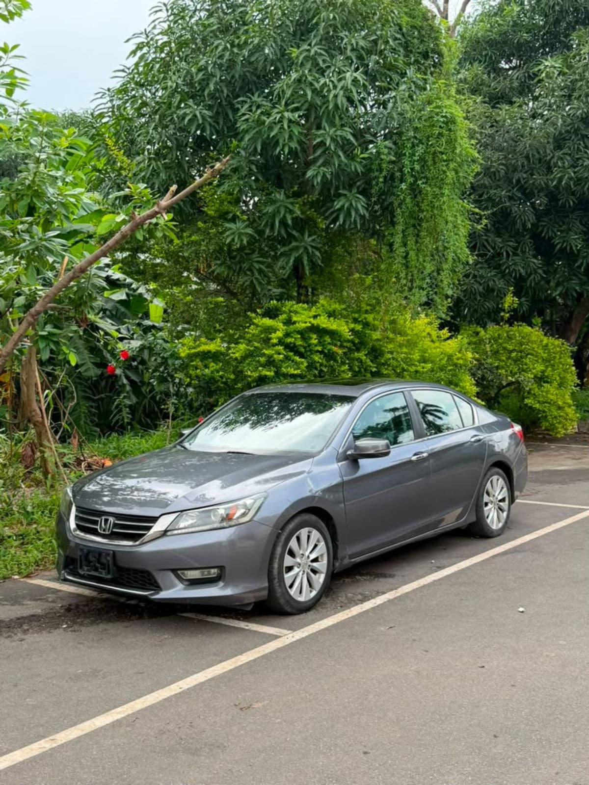 2013 HONDA ACCORD EXL — photo 9