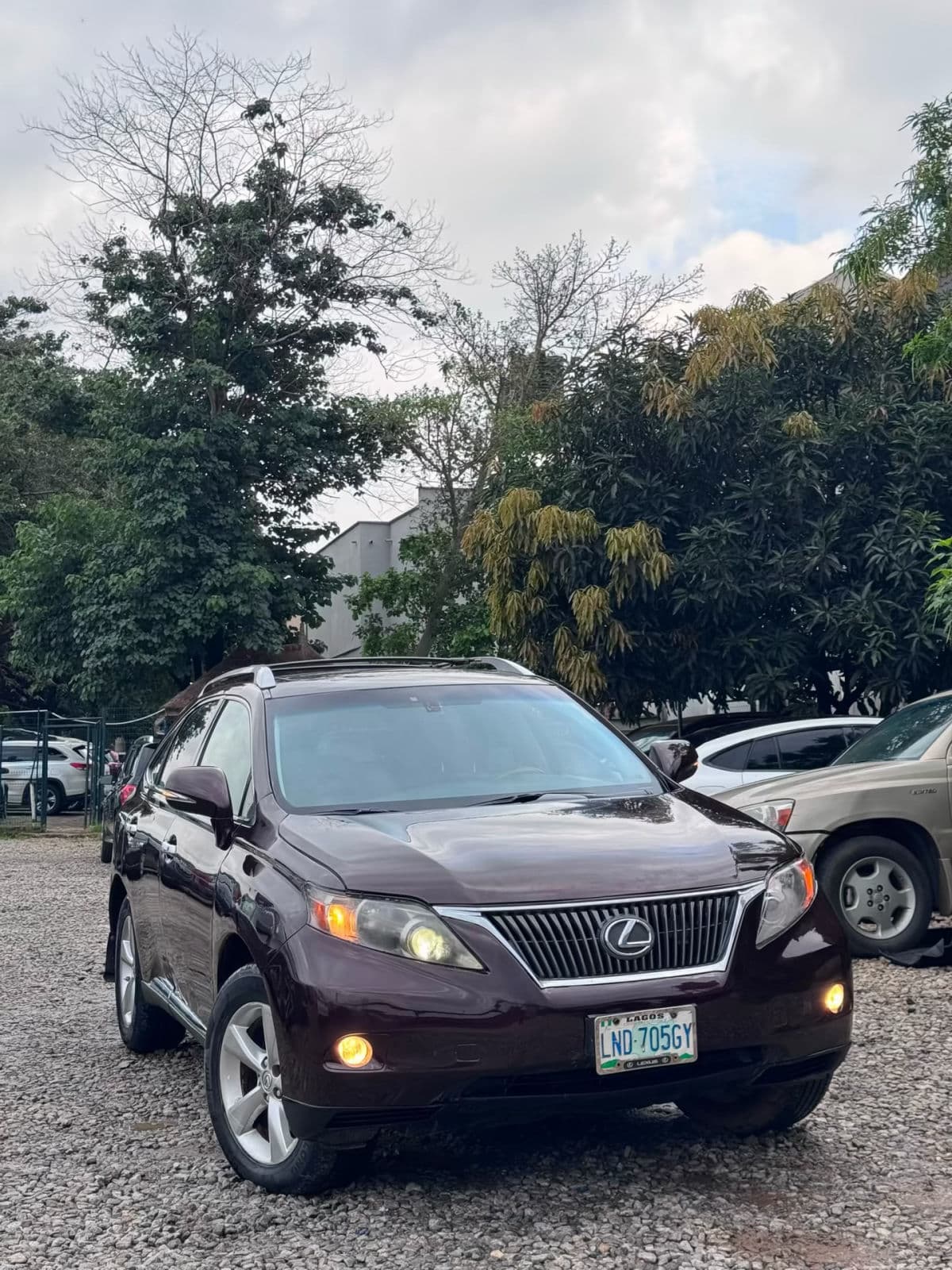 Lexus RX 350 2010 model — photo 6