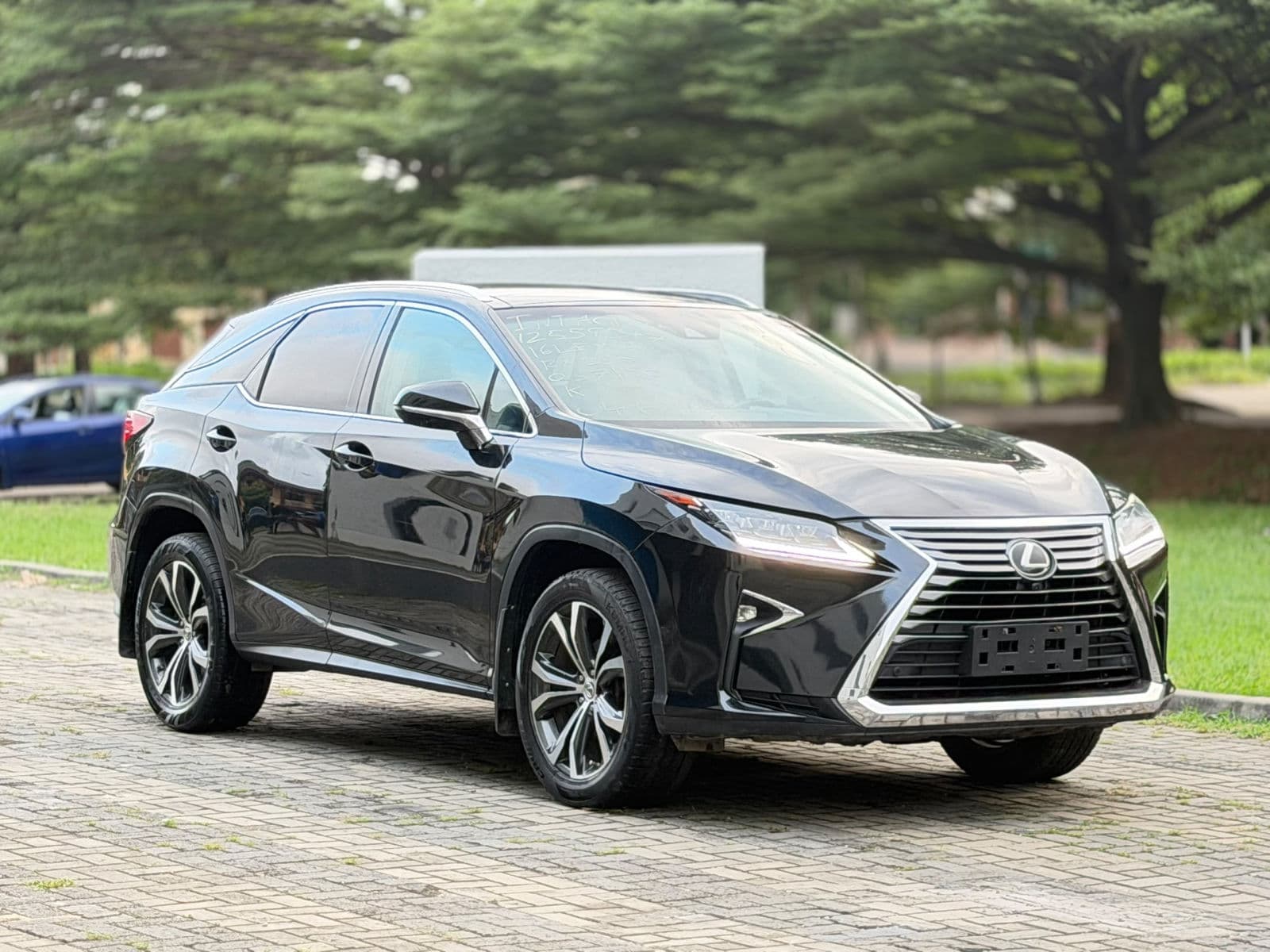 2017 Lexus RX SUV — photo 10 of 11